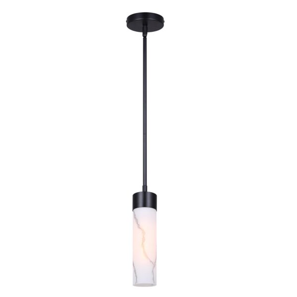 SUSP. 1XLED15A19