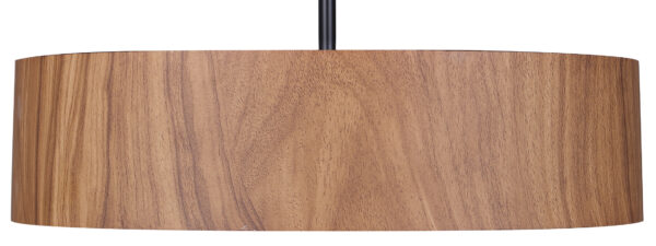 CAN-IPL318A03BKW16 - Image 2