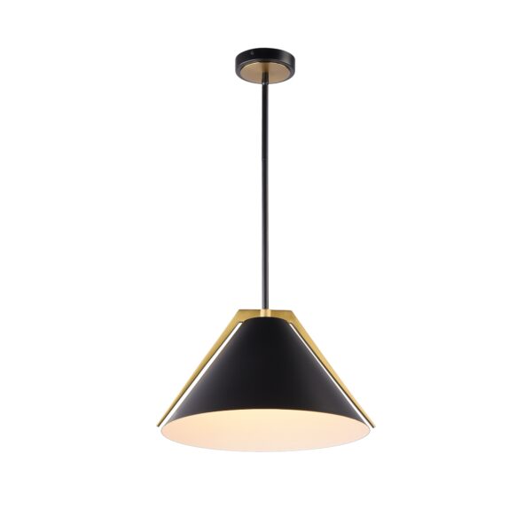 AC11910BK - Image 4