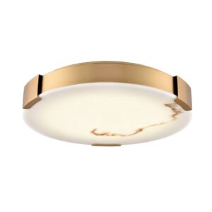 DVP42038BR-BFA