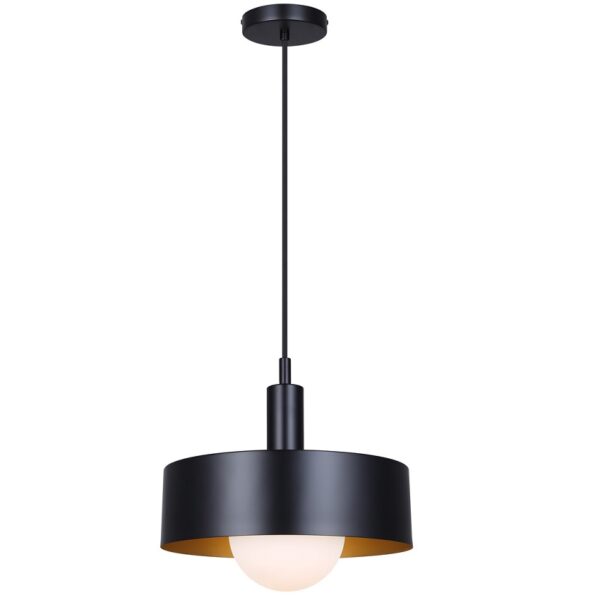 IPL1150A01BK