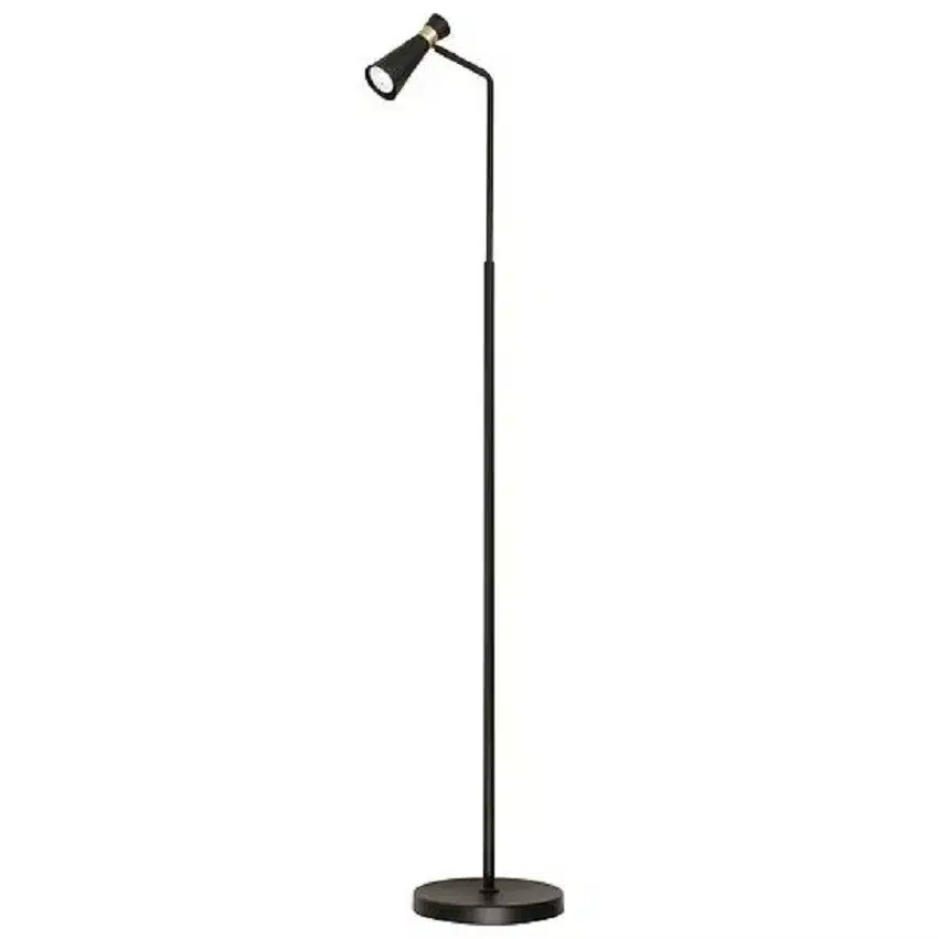 FLOOR LAMP CN8039-BKGD — FLEYTA