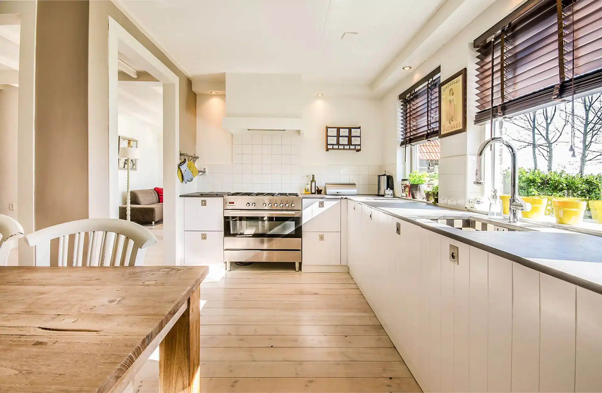 ENCASTRÉ DIRIGEAGLE DEL NICKEL- SCOPE GMB4-CC-SN - Image 3