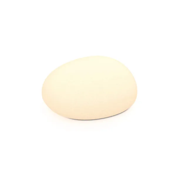 ROCHE LUMINEUSE 10" LED 24V - KAYU DCP-RK10